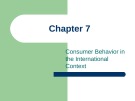 Lecture International marketing: Strategy and theory - Chapter 7: Consumer behavior in the international context