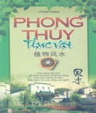  phong thủy thực vật: phần 2