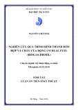 Tóm tắt luận văn Thạc sĩ Kỹ thuật: Nghiên cứu quá trình hình thành hỗn hợp và cháy của động cơ dual fuel (biogas-diesel)