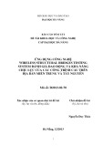 Báo cáo tóm tắt đề tài khoa học và công nghệ cấp Đại học Đà Nẵng: Ứng dụng công nghệ “Wireless Structural Bridges Testing System” đánh giá dao động và khả năng chịu lực của các Công trình cầu trên địa bàn Miền Trung và Tây nguyên