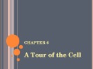 Lecture AP Biology - Chapter 6: A tour of the cell