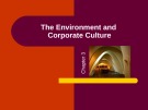 Lecture Management - Chapter 3: The environment and corporate culture
