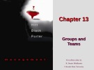 Lecture notes Management (1st edition): Chapter 13 – Hitt, Black, Porter