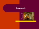 Lecture Management - Chapter 18: Teamwork