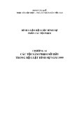 Bình luận bộ luật hình sự phần các tội phạm: Chương 14 - Đinh Văn Quế