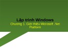 Bài giảng Lập trình trên Windows: Chương 1 - Trần Minh Thái