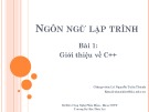 Bài giảng Ngôn ngữ lập trình: Bài 1 - Lê Nguyễn Tuấn Thành