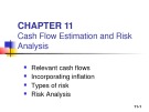 Lecture Fundamentals of finance management (10/E) - Chapter 11: Cash flow estimation and risk analysis