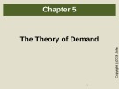 Lecture Microeconomics (5th edition): Chapter 5 - Besanko, Braeutigam