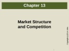 Lecture Microeconomics (5th edition): Chapter 13 - Besanko, Braeutigam