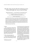 Đặc điểm trường sóng địa chấn trầm tích Pleistocen muộn - Holocen phần ngập nước vùng ven biển Hải Phòng