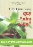  cây lược vàng quý như vàng