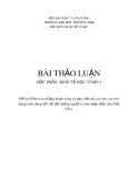 Bài thảo luận: Phân tích những thành công và hạn chế của gói cho vay (tín dụng) tiêu dùng đối với đối tượng người có thu nhập thấp của Việt Nam.