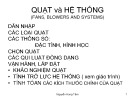 Quạt và hệ  thống - Nguyễn Hùng Tâm