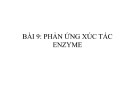 Bài giảng Hoá lý 2 - Bài 9 (Phần 2: Động hoá học)