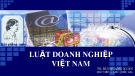 Bài giảng Luật doanh nghiệp Việt Nam: Bài 1 - TS. Bùi Quang Xuân