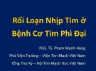 Bài giảng Rối loạn nhịp tim ở bệnh cơ tim phì đại - PGS. TS. Phạm Mạnh Hùng