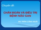 Bài giảng Chuyên đề: Chẩn đoán và điều trị bênh não gan