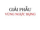 Bài giảng Giải phẫu vùng ngực bụng