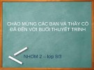 Bài giảng Chủ nghĩa tư bản được xác lập trên toàn thế giới