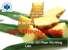 Tiểu luận nhóm: Quá trình nướng