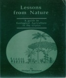  những bài học từ thiên nhiên: hướng dẫn về nông nghiệp sinh thái vùng nhiệt đới