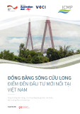 Đồng bằng Sông Cửu Long: Điểm đến đầu tư mới nổi tại Việt Nam