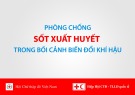 Phòng chống sốt xuất huyết trong bối cảnh biến đổi khí hậu