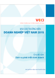  báo cáo thường niên doanh nghiệp việt nam 2015: phần 1