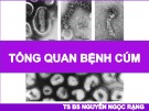 Báo cáo Tổng quan bệnh cúm