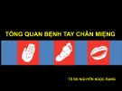 Bài giảng Tổng quan bệnh tay chân miệng