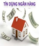 Thông tin bất cân xứng trong hoạt động tín dụng tại Việt Nam