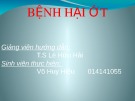 Báo cáo: Bệnh hại ớt