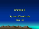 Bài giảng Sinh lý học thực vật - Chương 2: Sự trao đổi nước của thực vật