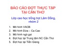 Báo cáo đợt thực tập tại Cần Thơ