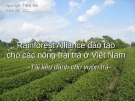 Bài giảng Rainforest Alliance đào tạo cho các nông trại trà ở Việt Nam