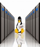 Hệ điều hành Linux - Bài 8: Lập trình mạng bằng socket