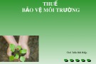 Bài giảng Thuế: Chương 6 - Th.S Trần Hải Hiệp