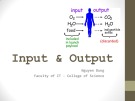 Bài giảng Tin học đại cương A (dành cho khối tự nhiên): Input and Output
