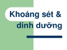 Bài giảng Thổ nhưỡng: Chương Khoáng sét và dinh dưỡng - Võ Thanh Phong