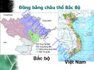 Bài giảng Cơ sở văn hóa Việt Nam: Chương 4.1 - ĐH Thương Mại