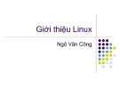 Bài giảng Hệ điều hành linux: Chương 1 - Ngô Văn Công