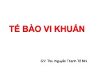 Bài giảng Tế bào vi khuẩn - ThS. Nguyễn Thanh Tố Nhi