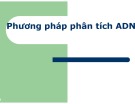 Bài giảng Phương pháp phân tích ADN