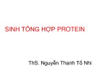 Bài giảng Sinh tổng hợp protein - ThS. Nguyễn Thanh Tố Nhi