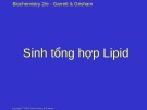 Bài giảng Sinh tổng hợp lipid