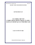 Luận án Tiến sĩ Y học: Các nhóm, thứ týp và hiện trạng kháng thuốc của HIV-1 đang lưu hành tại các tỉnh phía Nam
