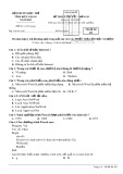 Đề thi lý thuyết bảng B môn Tin học tỉnh Kiên Giang năm 2015 - Mã đề 493