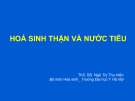 Bài giảng Hoá sinh thận và nước tiểu - ThS. BS. Ngô Thị Thu Hiền