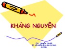 Bài giảng Kháng Nguyên - PhD. Nguyễn Văn Đô